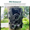 Hunting Night Vision HC801A With Motion Activated Outdoor Trail Camera Trigger Wildlife Scouting
