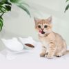 1a1417454dd94a74 Anti Vomiting Cat Bowls - Elevated Tilted 15° Cat Food Bowl, Raised Plastic Cat Dishes with Non-Slip Rubber Base Stand Kitty Bowl for Cats (White)