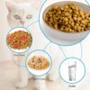 1a22d4eb75b09902 Howise 5.3 in Ceramic Cat Bowls Set, Shallow Cat Food Bowl Small Pet Bowls Cat Dish for Food and Water, Green