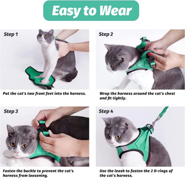 1b01e85e272df428 Cat Harness and Leash Set for Walking Escape Proof, Kitten Adjustable Small Large Lightweight Soft Vest Harness and Leash(Medium, Green)