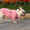 Dog Clothes For Medium Small Dogs Autumn Winter Warm Clothing Grey Cooling Vest Coat Pet Sweatshirt