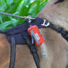 1b92e22b6f466586 Truelove Pet Adjustable Small Dispenser Canine Poop Bag Holder with Carabiner Suitable for All Dog Leashes Walk TLB2012