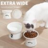 1ce7970d98386107 FOREYY Raised Cat Food and Water Bowl Set, Whisker Friendly Elevated Ceramic Cats Feeder Bowls with Anti Slip Ring, Anti-Vomiting Shallow High Porcelain Pet Kitten Dish, Dishwasher Safe(White)