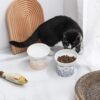 1d2f82963f91389f TAMAYKIM Tilted Ceramic Raised Cat Bowls, 8 OZ Food and Water Bowls Set for Kitty, Porcelain Elevated Stress Free Feeding Pet Dish, Dishwasher and Microwave Safe, 2 Pack (White & Grey)