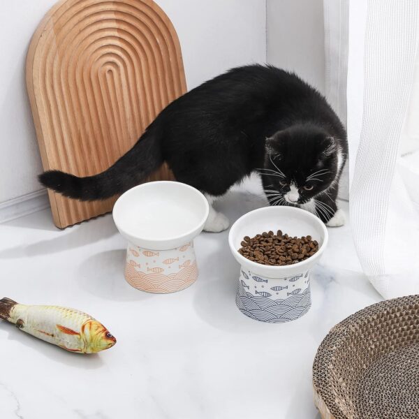 1d2f82963f91389f TAMAYKIM Tilted Ceramic Raised Cat Bowls, 8 OZ Food and Water Bowls Set for Kitty, Porcelain Elevated Stress Free Feeding Pet Dish, Dishwasher and Microwave Safe, 2 Pack (White & Grey)