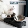 1d5f0acb2ace645d Cat Bowls - Elevated Cat Food Bowls, Anti Vomiting Cat Bowl Set, Stainless Steel Cat Bowls,Cat Bowls for Food and Water, Raised Cat Bowls for Indoor Cats, Orthopedic Cat Bowl