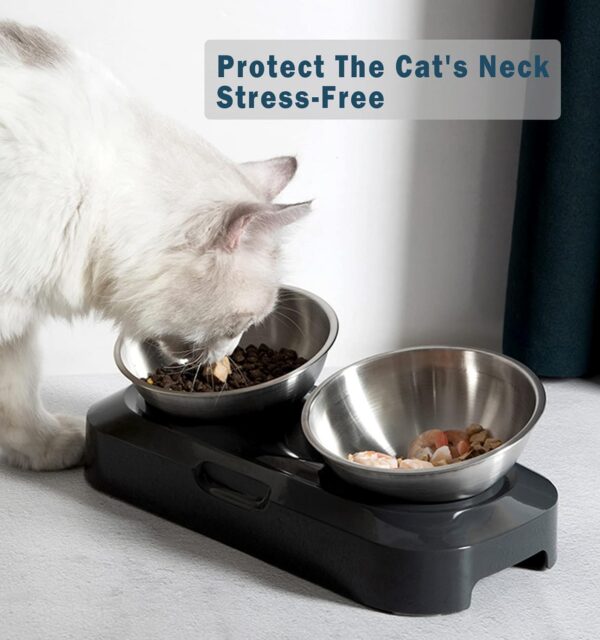 1d5f0acb2ace645d Cat Bowls - Elevated Cat Food Bowls, Anti Vomiting Cat Bowl Set, Stainless Steel Cat Bowls,Cat Bowls for Food and Water, Raised Cat Bowls for Indoor Cats, Orthopedic Cat Bowl
