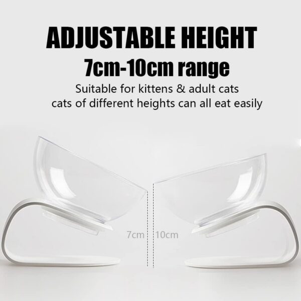 Raised Cat Bowl with Stand, 15° Tilted Cat Bowls for Kittens Elevated Cat Bowl Anti Vomiting Double Cat Bowls Plastic Transparent Cat Feeding Bowl