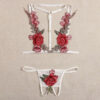 2023 Sensual Lingerie for Woman Lace Transparent Underwear Fairy Embroidery Brief Sets Delicate Bra Thongs Kit Push Up Sex Suit