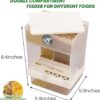 1dd420d97d723582 Large Capacity- Parrot Automatic Feeder,No Debris Bird Feeder, Parrot Cage Accessories Canary Parrot Bird Parrot Seed Food Container (Can Hold a Variety of Food) by Old Tjikko
