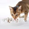 Slow Food Bowl for Cats,Fun Interactive Pet Feeding Bowl,Fish Design Feeding Tray Prevents Cats from Gulping,Indigestion and Obesity,Slow Feeder for Cats and Puppies,Dishwasher Safe.