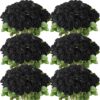 1e4a3f946d2bdac0 50 Pcs Artificial Rose Flower Realistic Silk Roses with Stem Bouquet of Flowers Plastic Flowers Real Looking Fake Roses for Home Wedding Centerpieces Party Decorations (Black)