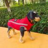 1e65c93b8576d3b3 Warm Fleece clothes Personalized Waterproof Winter Clothes for Small Medium Large Dogs Pet Clothing Jackets Dog Accessories