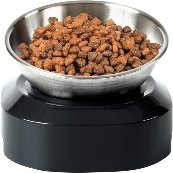 Raised Cat Bowl with Stainless Steel, Non-Slip Silicone Mat & Raised Cat Feeder with 15° & 0° Tilting Neck Protective Bowl for Pets, Cats Food and Water Feeding