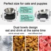 Raised Cat Bowl with Stainless Steel, Non-Slip Silicone Mat & Raised Cat Feeder with 15° & 0° Tilting Neck Protective Bowl for Pets, Cats Food and Water Feeding