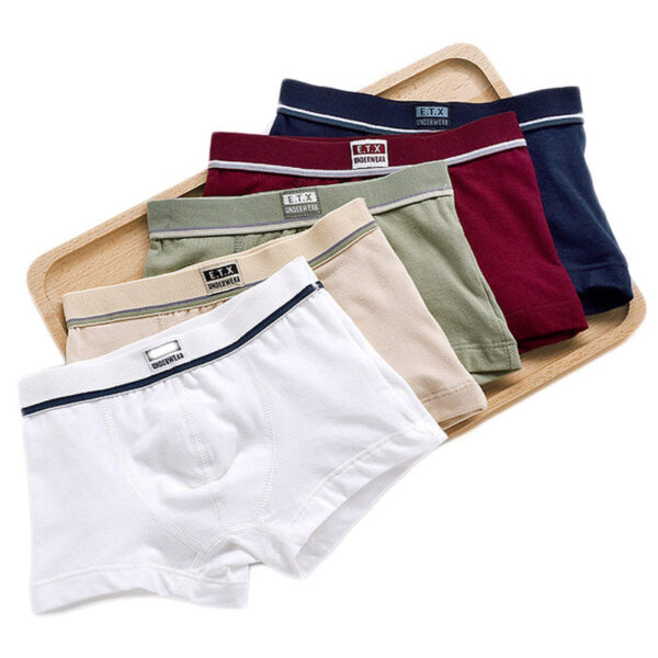 218db0c1cf01f600 Children Boys Cotton Boxer Shorts Children's Panties Kids Underwear For 2-16 years 5 pcs