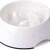 Super Design Slow Feeder Dog Bowl, 1 Cup, Nonslip, Heat-Resistant, Sturdy, Suitable for Small to Medium Sized Dogs