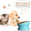 Y YHY Raised Cat Food Bowl Set, Ceramic, Tilted Elevated Bowls, 2 Bowls, 3.6 in & 3 in, White