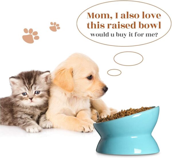 Y YHY Raised Cat Food Bowl Set, Ceramic, Tilted Elevated Bowls, 2 Bowls, 3.6 in & 3 in, White