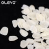 50Pcs Dental Temporary Crown Ultra-Thin Resin Teeth Veneers Whitening Porcelain Upper Anterior Tooth Repair Dentistry Oral Care