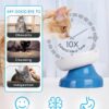 Y YHY Slow Feeder, Elevated Food Bowl Tilted Design for Dog and Cat for Dry and Wet Food