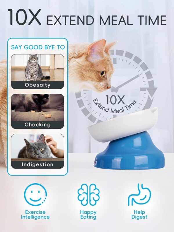 Y YHY Slow Feeder, Elevated Food Bowl Tilted Design for Dog and Cat for Dry and Wet Food