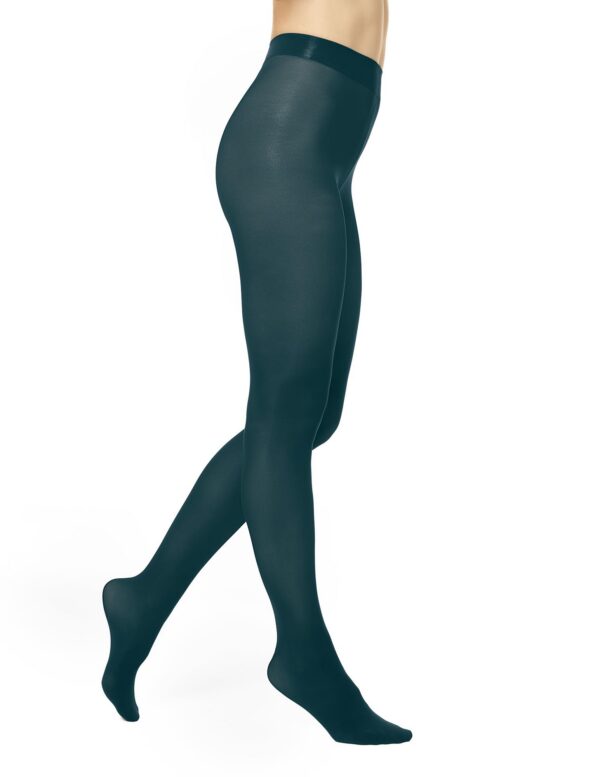 HUE womens Sheer to Waist Opaque Tight
