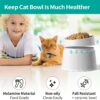 24d2b6493df9ea1e Elevated Cat Food Bowl Super Widen Raised Cat Food Dishes for Protecting Spine, Reliefing Whisker Fatigue, Anti-Vomiting 17° Tilted Pet Feeding Bowls with Silicone Mat for Indoor Cats