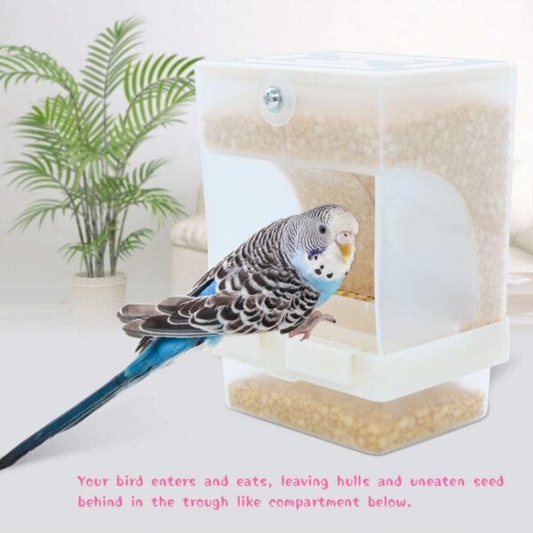 261bbda52aaa021e Rypet No-Mess Bird Feeder - Parrot Integrated Automatic Feeder for Small to Medium Birds