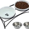 262e609e9cf7ab2f FOREYY Elevated Cat Bowls with 2 Ceramic Bowls and 2 Stainless Steel Bowls,Raised Cat Food Water Bowl with Iron Stand,Porcelain Pet Dishes for Cats and Small Dogs,16 Ounces,Dishwasher Safe(Gray)