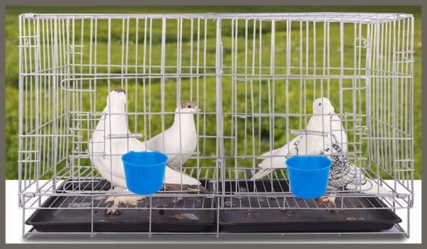 26311ce3b722622c 20 Pack Cage Cups Birds Feeders Seed Bowl Chicken Feeding Watering Dish Rabbit Water Food Hanging Wire Cages Box 16oz Coop Cups for Pet Parrot Parakeet Gamefowl Poultry Pigeon (Large Red)