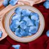 1000 Pcs Artificial Silk Rose Petals Decoration Wedding Party Turquoise Blue