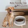 27c206ea9a9d9db4 Cat Food Water Bowl Set - Raised Cat Bowls with Non Slip Stand - Elevated Puppy Bowls for Small Dogs - Double Ceramic Cat Feeding Bowls with Splash Proof Guard - Tall Cat Dishes - 2 x 480 ML - 16.2 OZ