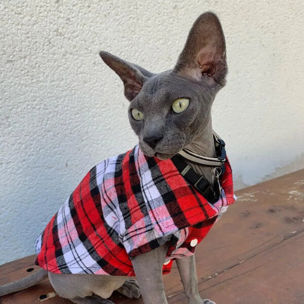 Summer Pet Classic Plaid Clothes for Cats Dogs Fashion Cotton Cat Dog Tshirt Vest Puppy Clothing Chihuahua Yorkshire Shirts Pets