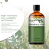 2bc003aa9d4de752 PHATOIL 100ml Essential Oils Lemon Eucalyptus Sweet Orange Cinnamon Vanilla Aroma Oils for Humidifier Diffuser Aromatherapy