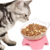 MILIFUN Raised Cat Food Bowls with Stand, Cat Dishes for Food or Water, Cat Tilted Bowl, Pet Dish with Stand
