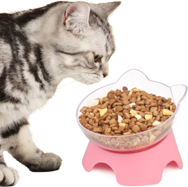 MILIFUN Raised Cat Food Bowls with Stand, Cat Dishes for Food or Water, Cat Tilted Bowl, Pet Dish with Stand