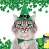 Namsan Holiday Pet Costume Cat Birthday Hat Small Dog Birthday Cake Hat Dog Birthday Party Supplies, Small