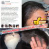 Wowangel 13x6 Full Wig Frontal Body Wave Human Hair 250% HD Lace Closure Wigs Melt Skins Glueless