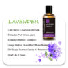 2e954f7a6e1cfc7e MAYJAM 10ml 30ml 100ml Essential Oils For Humidifier Diffuser Lavender Jasmine Eucalyptus Ylang Ylang Vanilla Tea Tree Aroma Oil