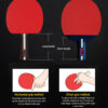 2f5c1efb7c58cbaf Table Tennis Racket 2 Rackets & 3 Balls Table Tennis Paddles Professional Ping Pong Paddle with Bag for Beginners Training Game