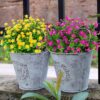 2fb629a93794645b 24 Bundles Outdoor Artificial Flowers UV Resistant Fake Boxwood Plants, Faux Greenery for Indoor Outside Hanging Plants Garden Porch Window Box Home Wedding Farmhouse Décor (Magenta)