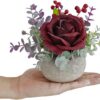2fbb4d3176ce5f1b Artificial Flowers Kit with Pot, Combination of Fake Silk Burgundy Red Roses and Greenery,Small Plant Potted Decor for Offices,Bookshelf,Bedroom, Living Room,Party,Wedding Decorations…