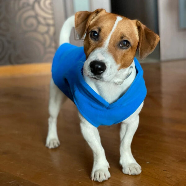 302b0ff0b46c2504 Warm Fleece Dogs Clothes Pet Jacket Vest With D-Ring For Small Dog Cats Clothing French Bulldog Costumes Chihuahua Coat