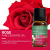 30a738f60f46b0de Essential Oils for Diffusers Lavender Eucalyptus Tea Tree Peppermint Rosemary Mint Bergamot Lemon Rose Pure Essential Oil 10ml