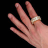 320dc6e6937fe698 Hip Hop Jewelry Double Row Zircon Trendy Brand Full Diamond Gold Men's Ring