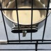 Pet Bird Food Feeding and Drinking Hanging Cup Clamp Holder Stainless Steel Hanging Bowl for Parrot Macaw African Greys Budgies Parakeet Cockatiels Conure Lovebirds Finch Pigeon Cage