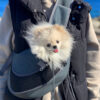 334b91fc21555f51 Pet Puppy Carrier S/L Outdoor Travel Dog Shoulder Bag Mesh Oxford Single Comfort Sling Handbag Tote Pouch