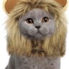 Namsan Holiday Pet Costume Cat Birthday Hat Small Dog Birthday Cake Hat Dog Birthday Party Supplies, Small