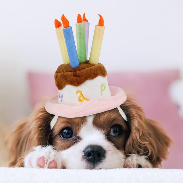 Namsan Holiday Pet Costume Cat Birthday Hat Small Dog Birthday Cake Hat Dog Birthday Party Supplies, Small